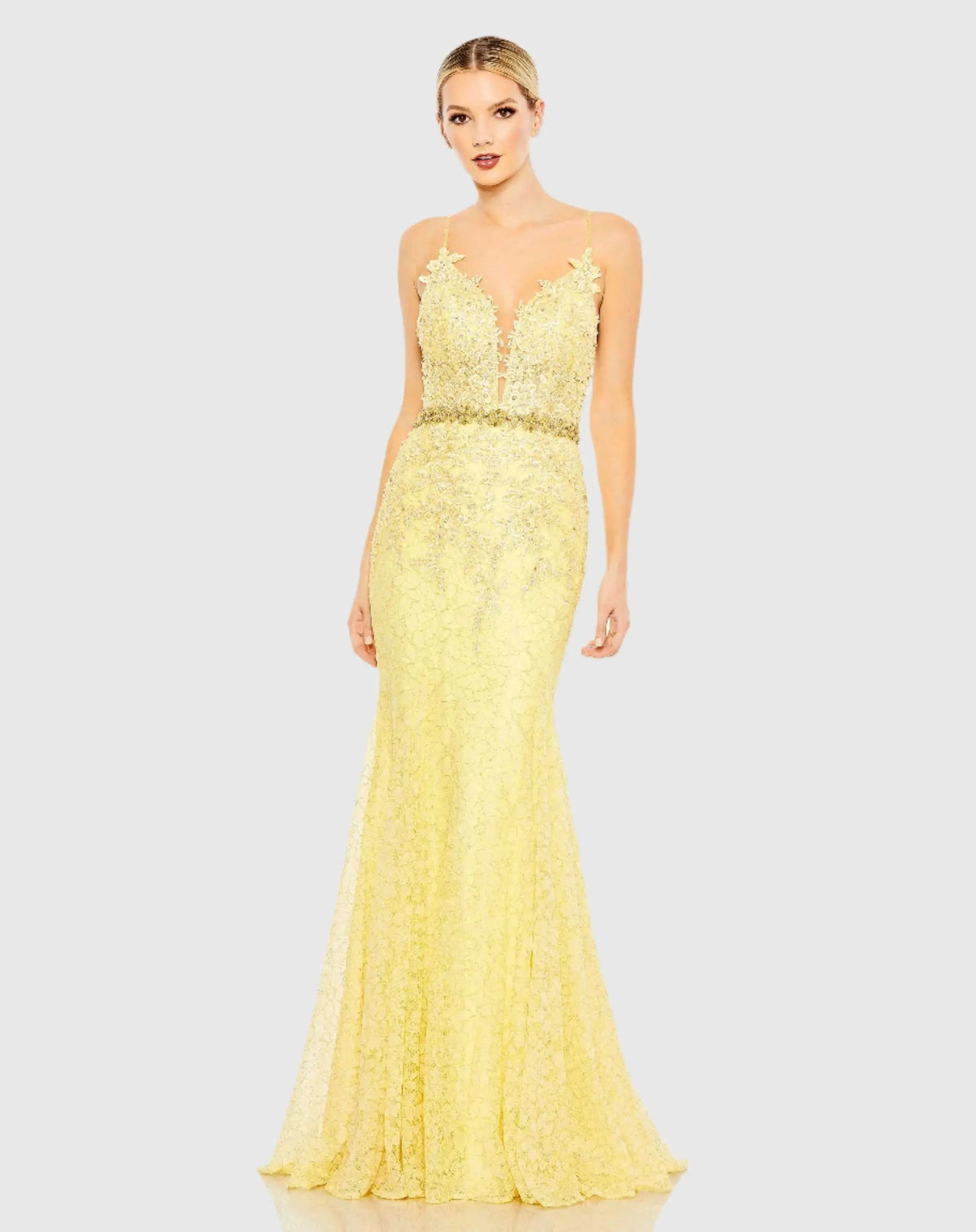 Applique Sleeveless Plunge Neck Trumpet Gown